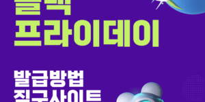 블랙프라이데이