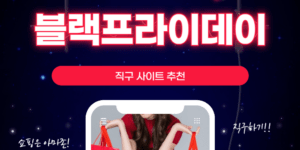 블랙프라이데이 해외 직구 사이트