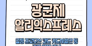 광군제 알리익스프레스 기간 카드사 할인 프로모션 코드 안내