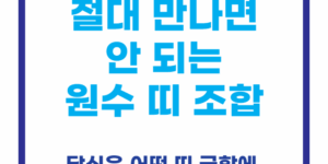 절대로 만나면 안되는 부부사이 원수띠