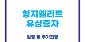 형지엘리트 유상증자