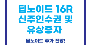 딥노이드 16R 신주인수권